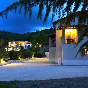 Fontepino